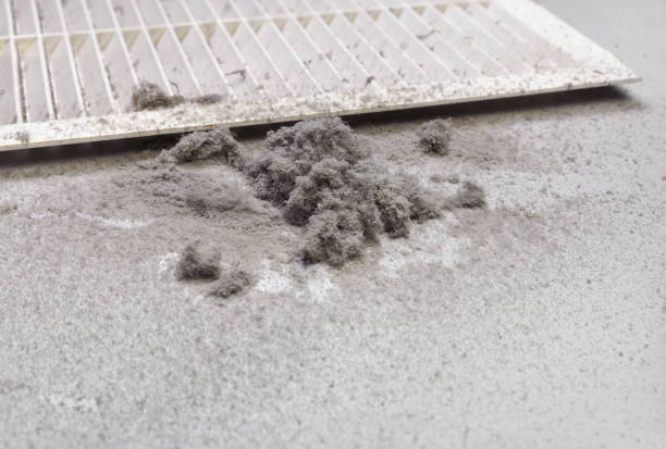 Best Best Air Duct Cleaning Company  in Rapids, NY