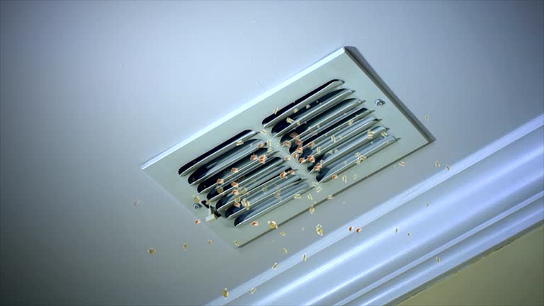  Rapids, NY Airduct Cleaning Pros