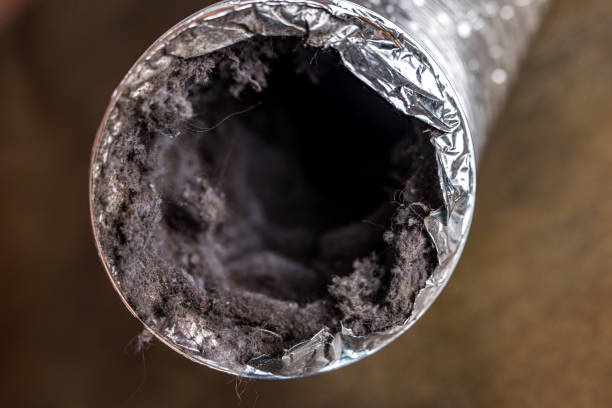 Best Air Duct Cleaning Near Me  in Rapids, NY